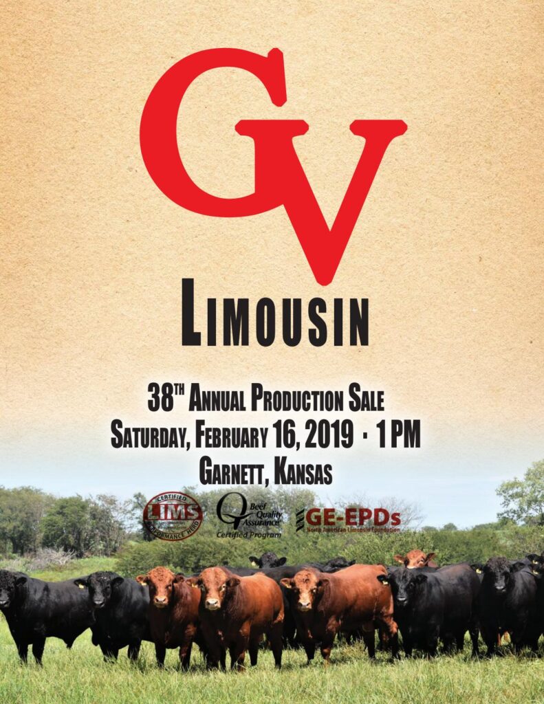 GV Limousin - 2019 Production Sale