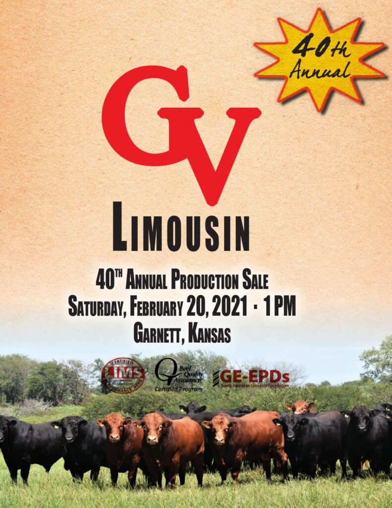 GV Limousin - 2021 Spring Production Sale