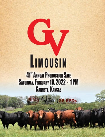 GV Limousin - 2022 Spring Production Sale