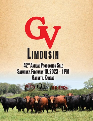 GV Limousin - 2023 Spring Production Sale