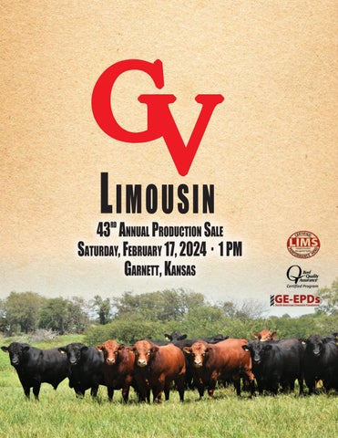 GV Limousin 43rd Annual Production Sale