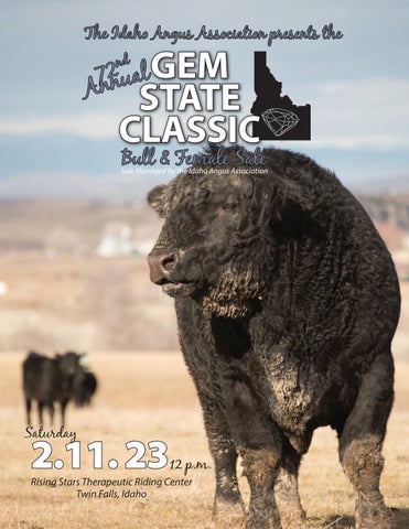 Gem State Classic - 2023 Spring Sale