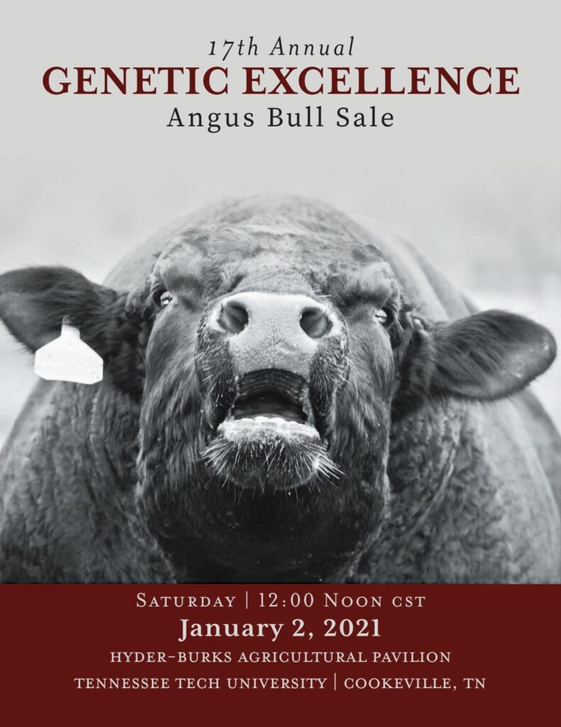 Genetic Excellence - 2021 Sale