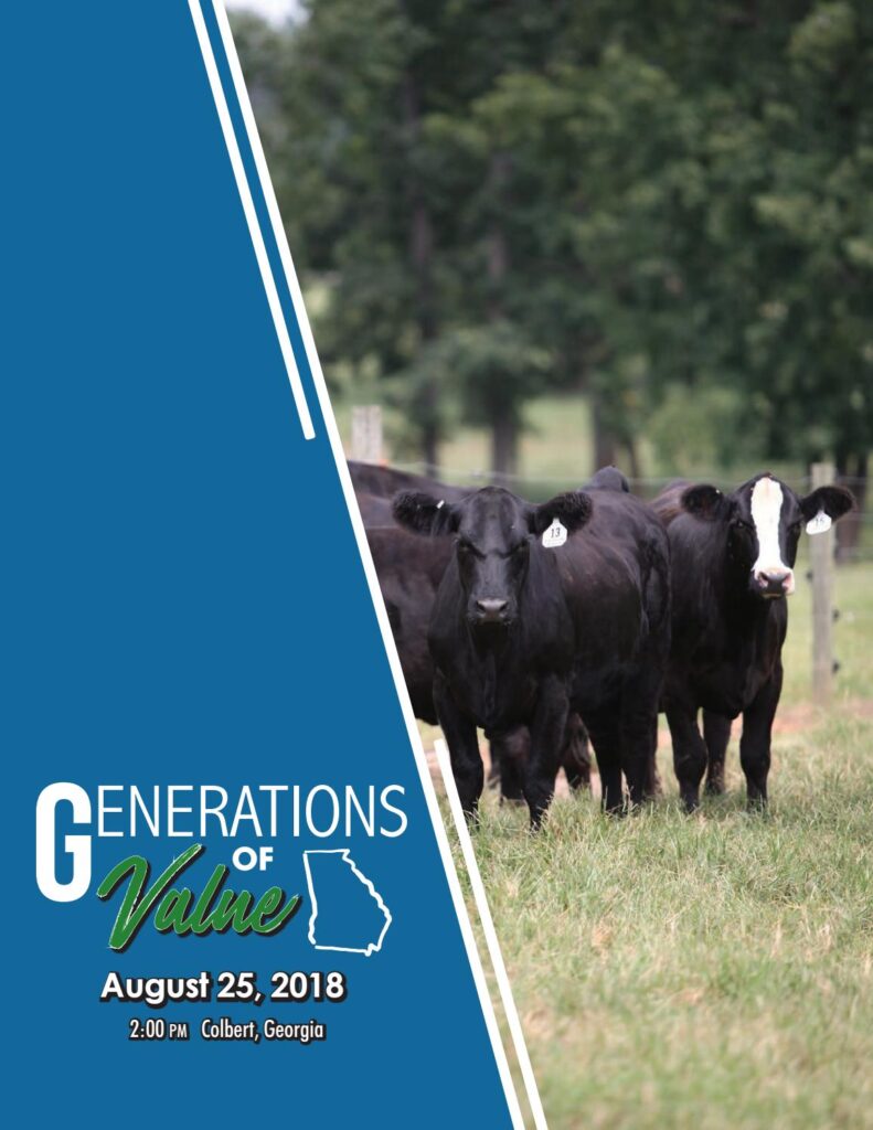 Georgia Generations of Value - 2018 Sale