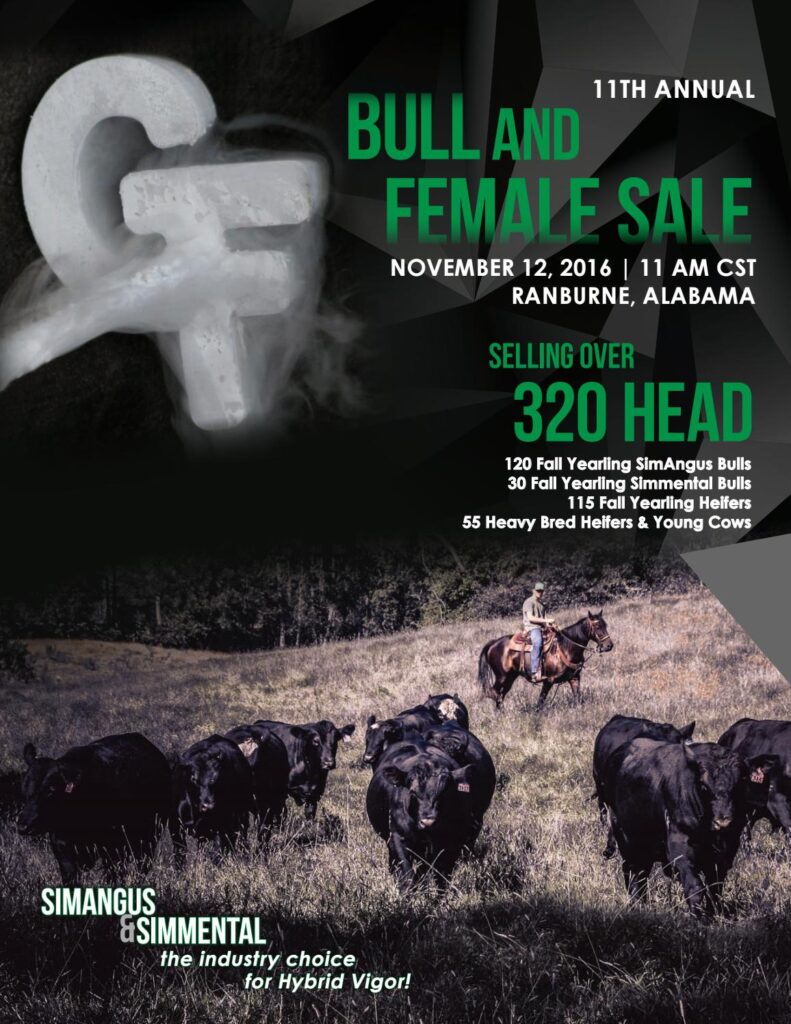 Gibbs Farms - 2016 Bull & Female Sale
