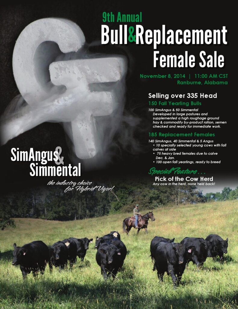 Gibbs Farms - 9th Annual Bull and Replacement Female Sale