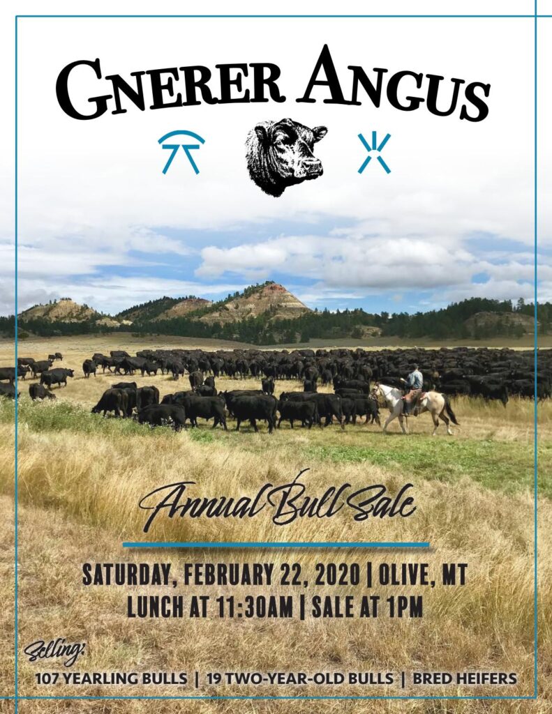Gnerer Angus - 2020 Bull Sale
