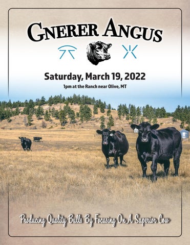 Gnerer Angus - 2022 Spring Bull Sale