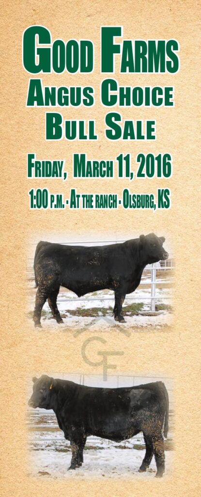 Good Farms Angus - 2016 Choice Bull Sale