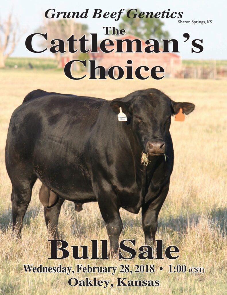 Grund Beef Genetics - 2018 Bull Sale