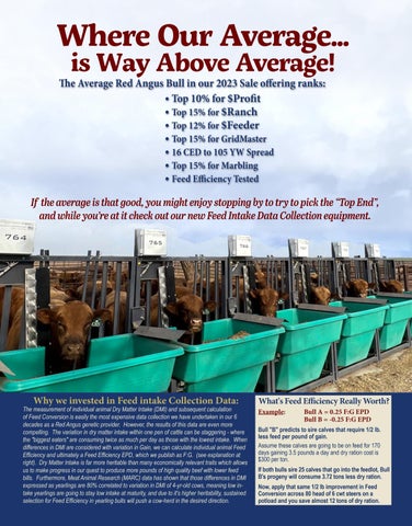 Halfmann Land & Livestock - 2023 Fall Sale Newsletter