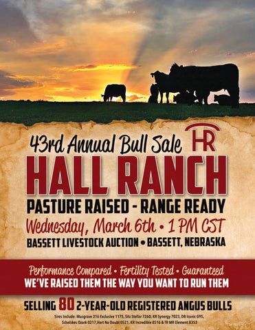Hall Ranch 43rd Annual Bull Sale