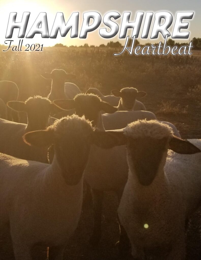 Hampshire Heartbeat - 2021 Fall Edition