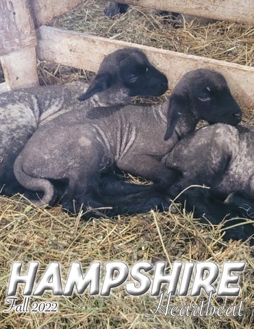 Hampshire Heartbeat - 2022 Fall Edition