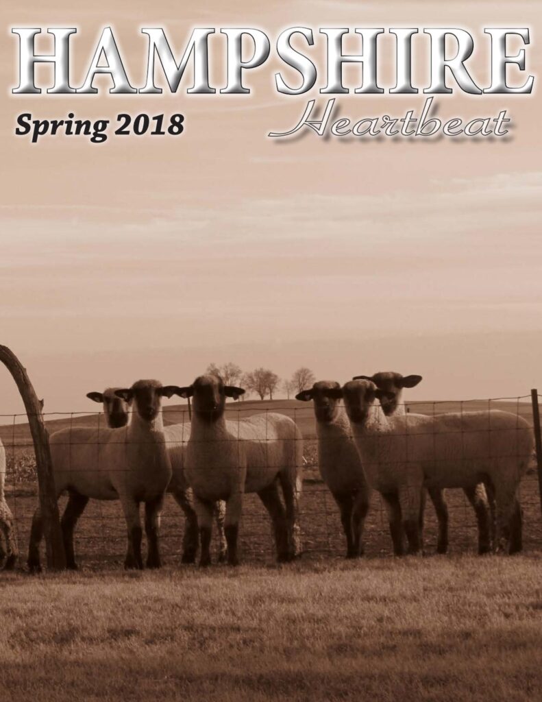 Hampshire Heartbeat - Summer 2018 Edition