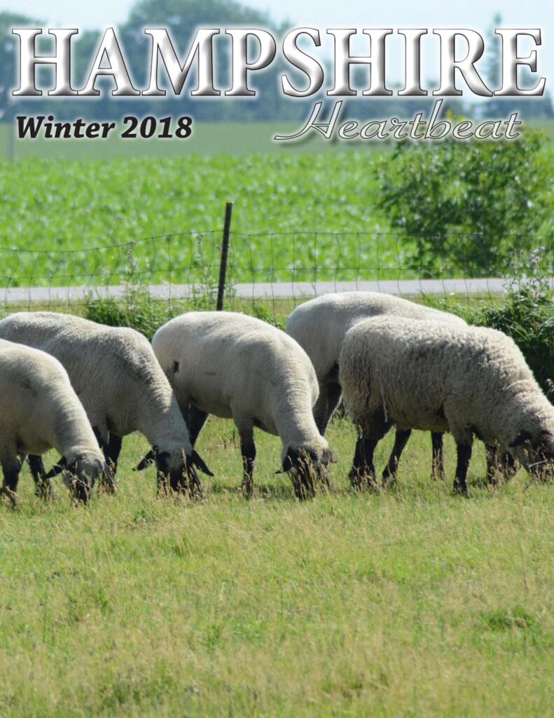 Hampshire Heartbeat - Winter 2018 Edition