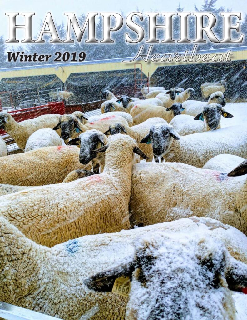 Hampshire Heartbeat - Winter 2019 Edition