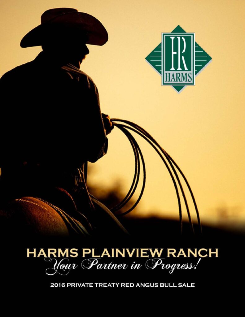 Harms Plainview Ranch - 2016 Private Treaty Red Angus Bull Sale