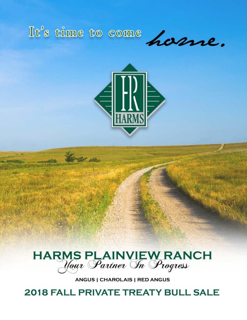 Harms Plainview Ranch - 2018 Fall Private Treaty Bull Sale
