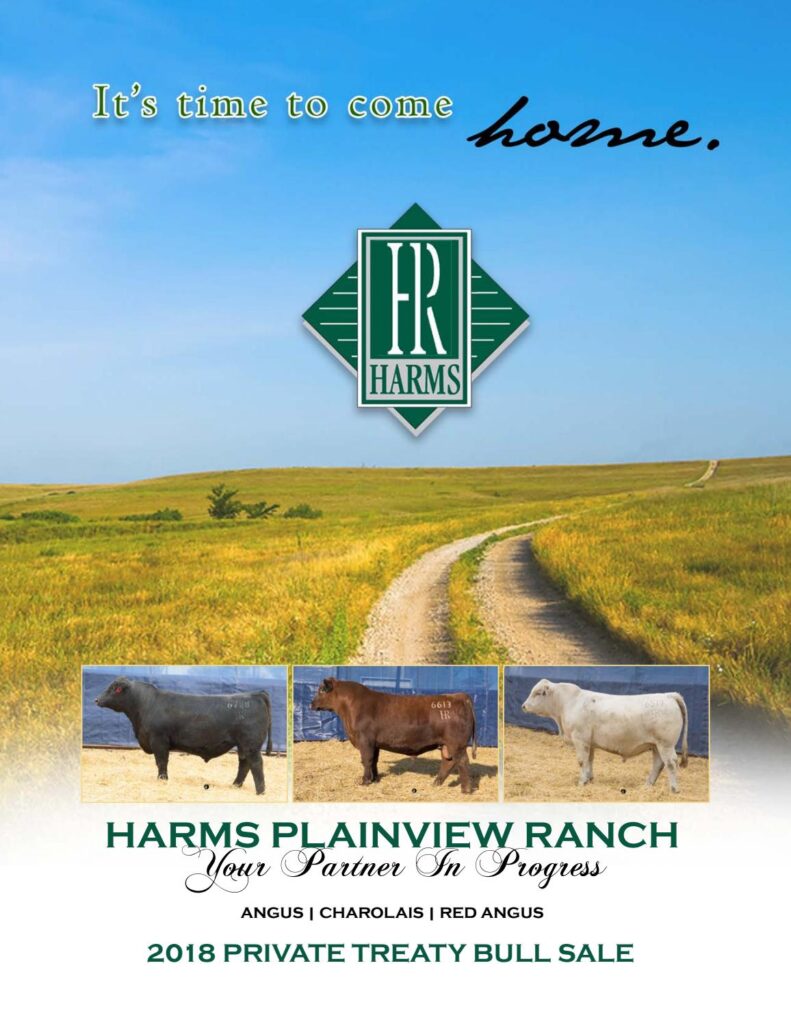 Harms Plainview Ranch - 2018 Private Treaty Bull Sale