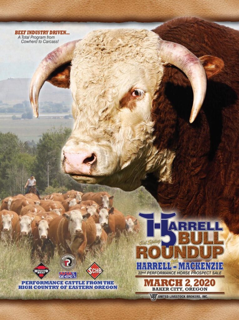 Harrell Hereford Ranch - 2020 Bull Sale