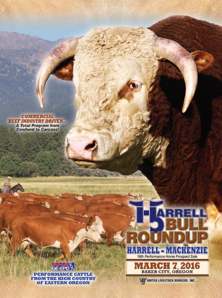 Harrell Hereford Ranch - 37th Spring Bull Roundup Sale