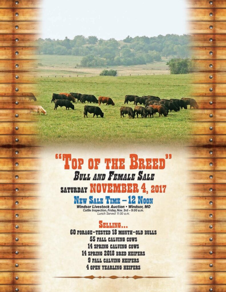 Harriman Santa Fe - 2017 Bull Sale