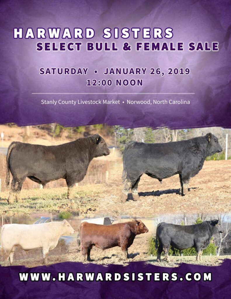 Harward Sisters - 2019 Sale