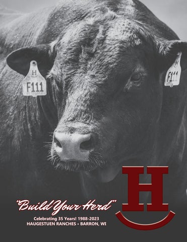 Haugestuen Ranches - 2023 Spring Bull Sale