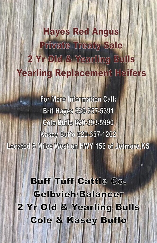 Hayes Red Angus - 2017 Private Treaty Sale