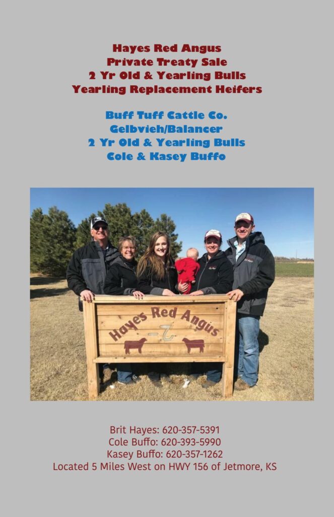 Hayes Red Angus - 2019 Private Treaty Sale