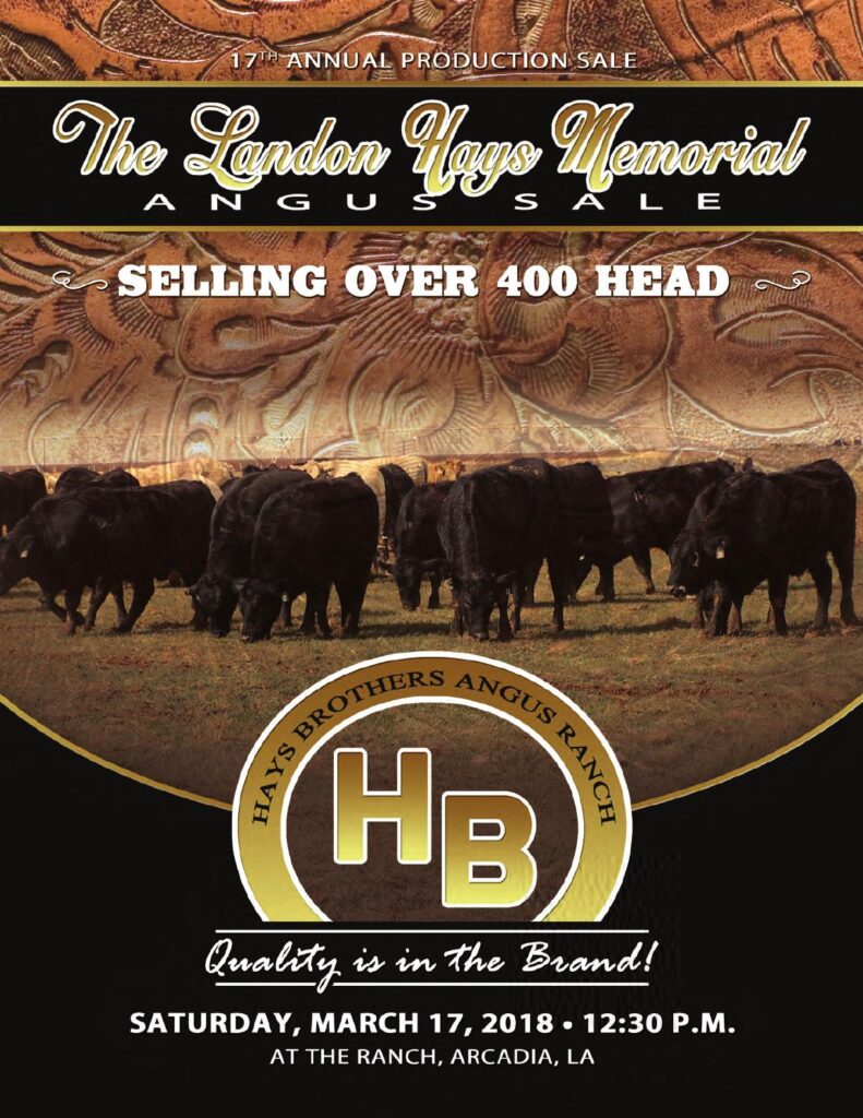 Hays Brothers Angus Ranch - 2017 Production Sale