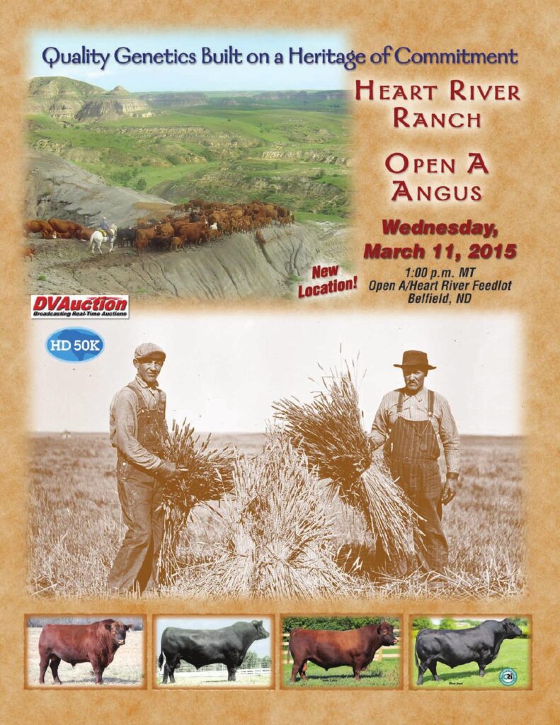 Heart River Ranch / Open A Angus - 2015 Bull Sale