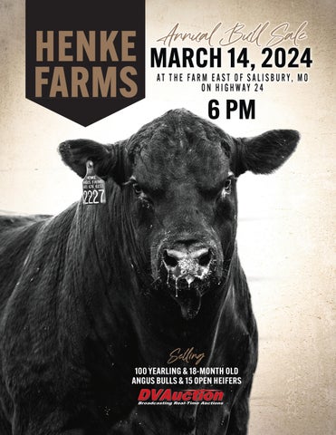 Henke Angus Farms Annual Bull Sale