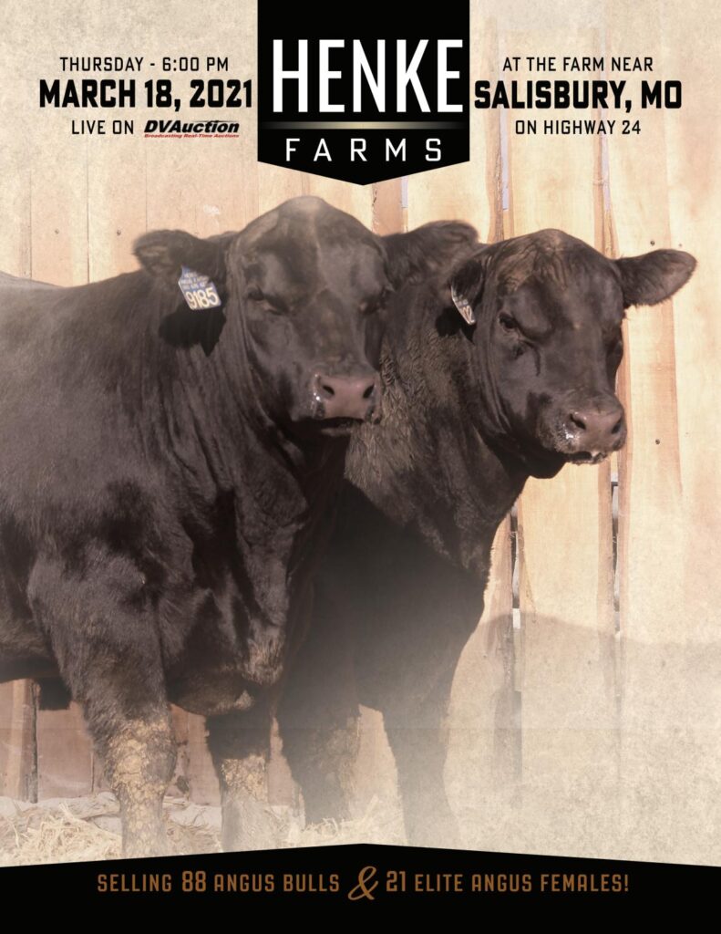 Henke Farms - 2021 Production Sale