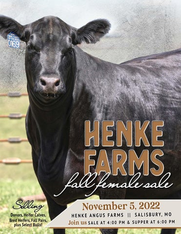 Henke Farms - 2022 Fall Female Production Sale