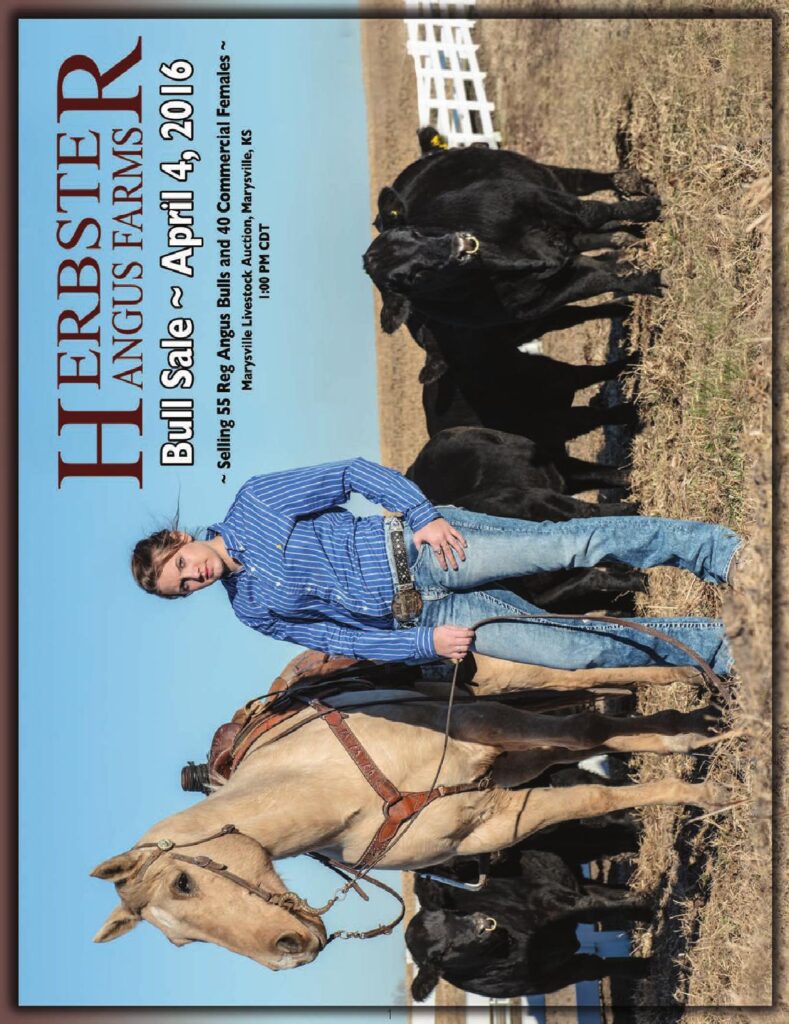 Herbster Angus Farm - 2016 Bull Sale