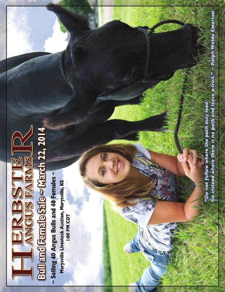 Herbster Angus Farms - 2014 Bull and Female Sale