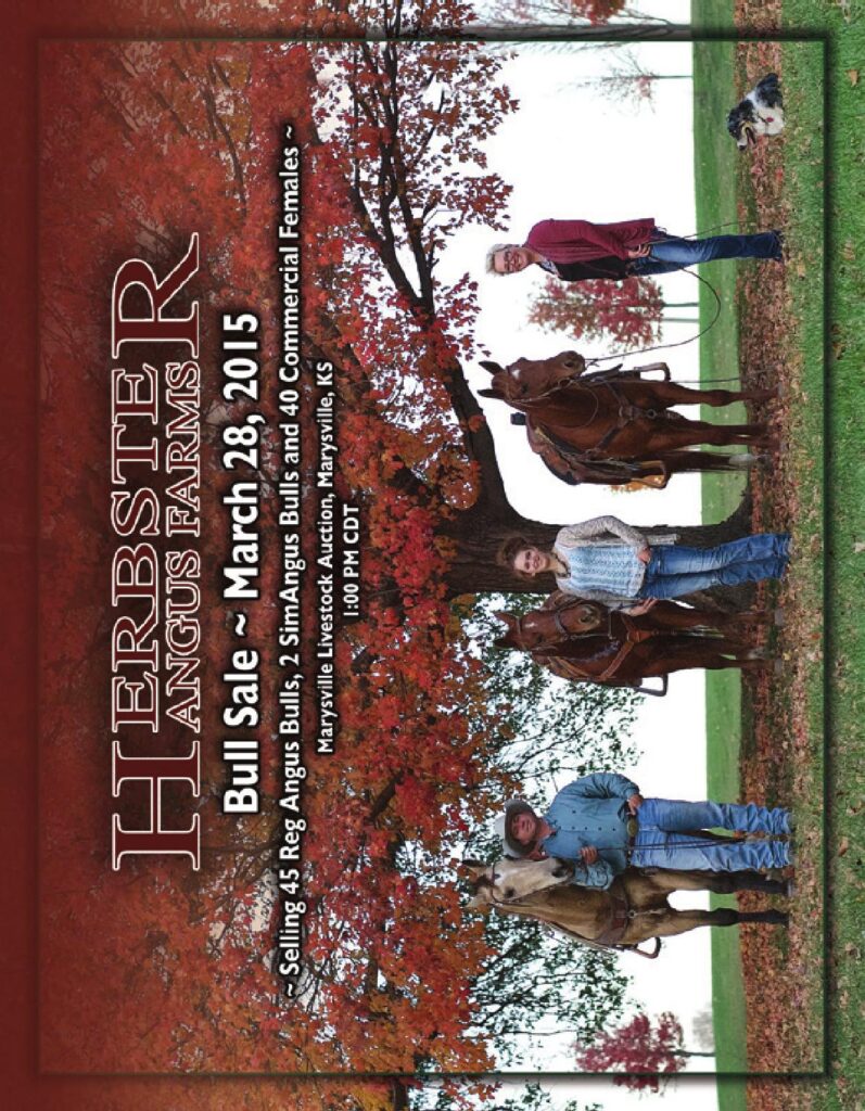 Herbster Angus Farms - 2015 Annual Bull Sale