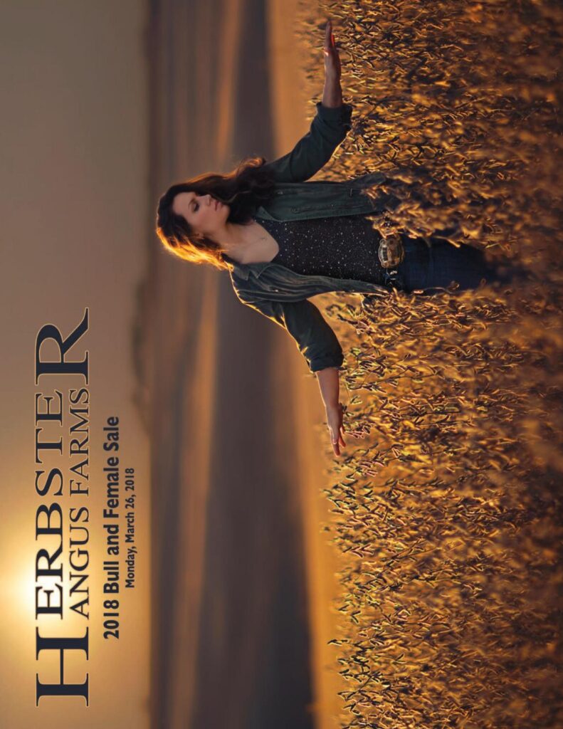 Herbster Angus Farms - 2018 Bull Sale