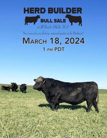 Herd Builder Bull Sale at JR Ranch