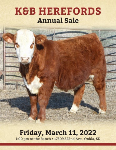 Hereford America - 2022 K&B Herefords Spring Catalog