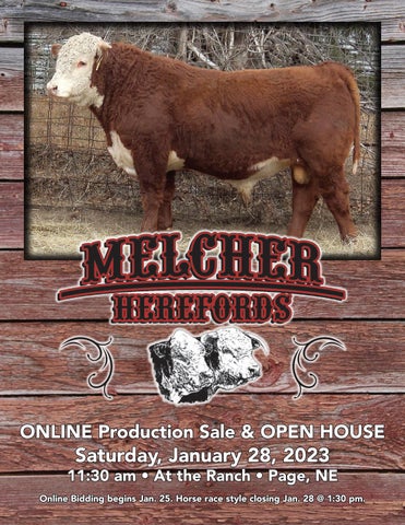 Hereford America - 2023 Melcher Herefords Catalog