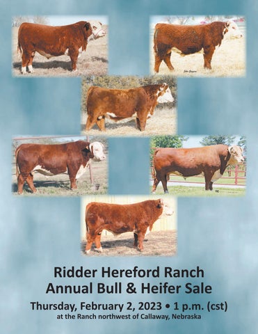 Hereford America - 2023 Ridder Herefords Catalog