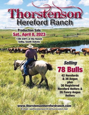 Hereford America - 2023 Spring Thorstenson Sale