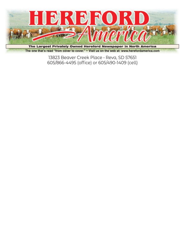 Hereford America - 4.25x5.5 Notepads