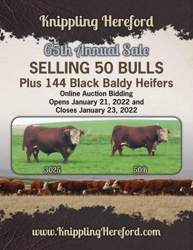 Hereford America - Knippling Catalog