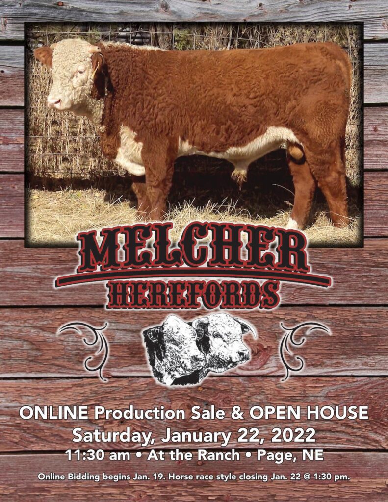 Hereford America - Melcher Herefords Catalog