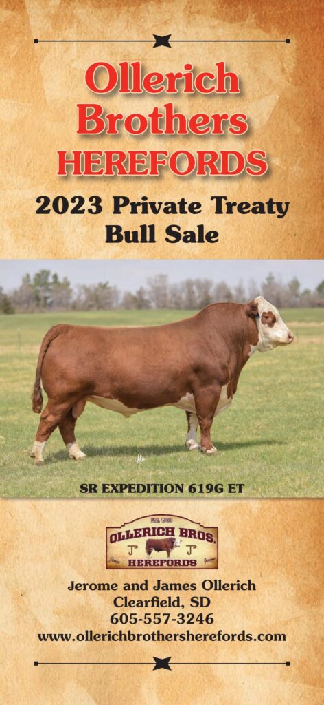 Hereford America - Ollerich Bros. 2023 Catalog
