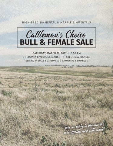 High-Bred Simmentals - 2022 Cattleman's Choice Sale